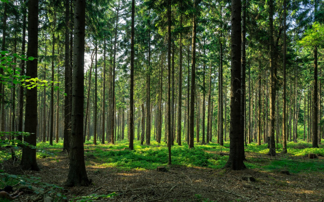 My Place – Christina Carlson